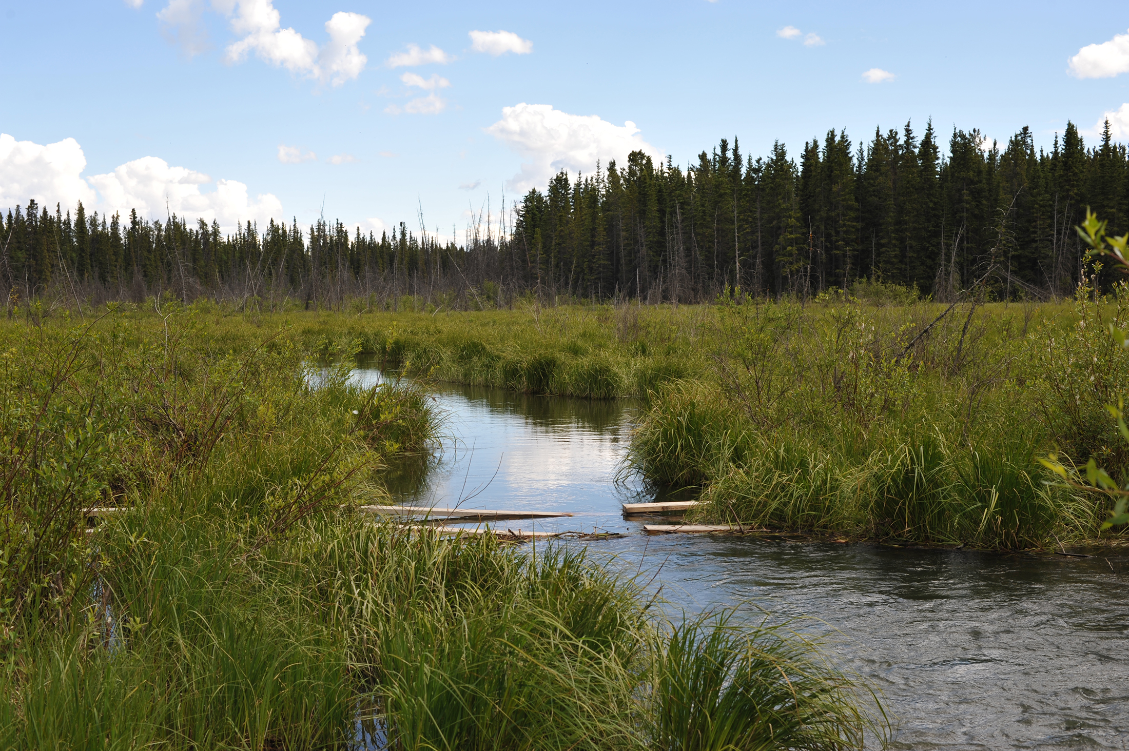 Landowners who live near the coastline are more likely to advocate for conservation efforts, according to a recent study.(Chris Hunkeler/Flickr Creative Commons)