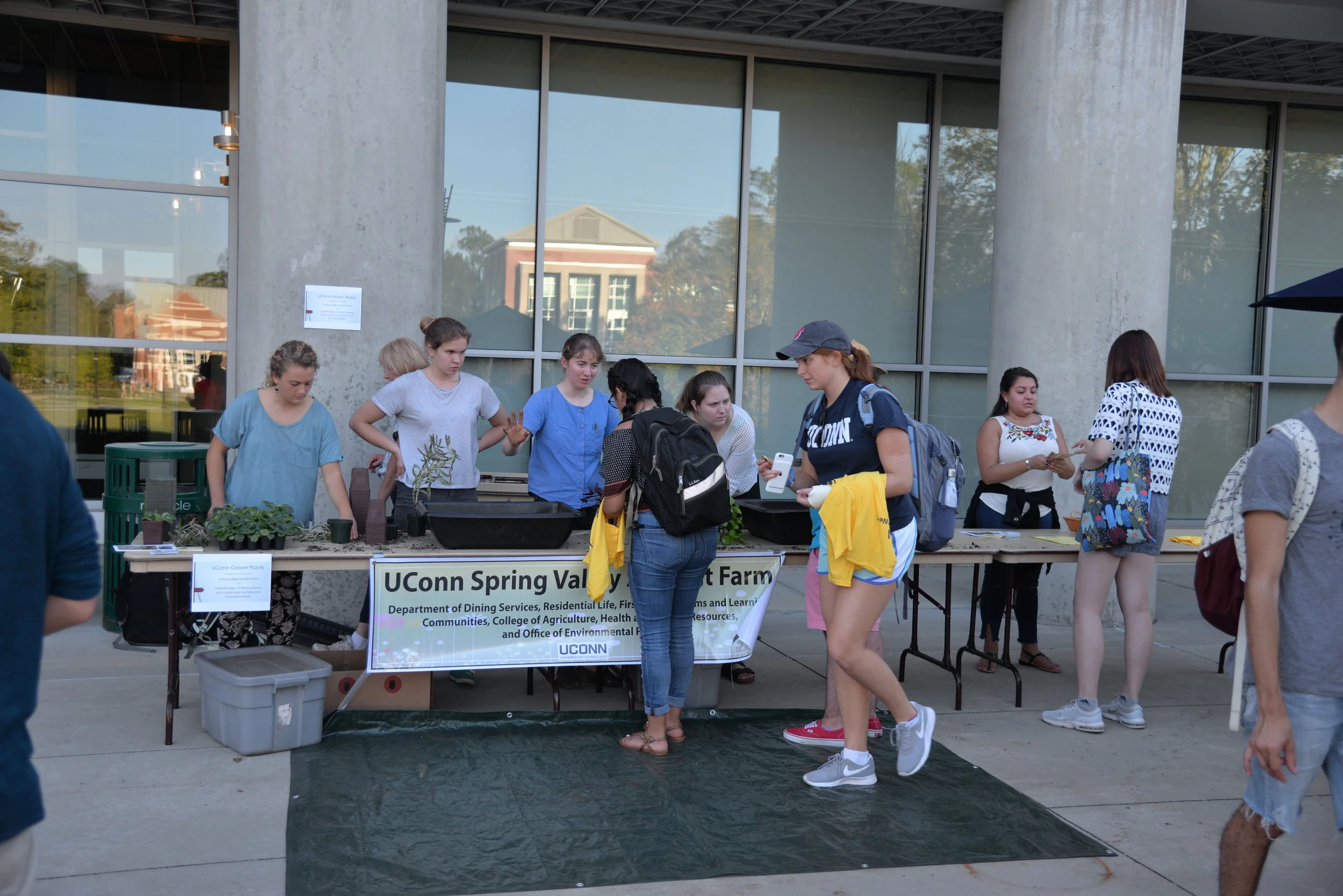 The Puerto Rican Latin American Cultural Center Metas mentorship program, along with Counseling and Mental Health Services and Spring Valley Farm, host the Garden of Intentions on the patio of the Student Union on Tuesday, Sept. 26, 2017 as a part of Suicide Prevention week. Participants answered questions about mental health and its resources on campus and then had the chance to plant the message in a flower. (Amar Batra/The Daily Campus)