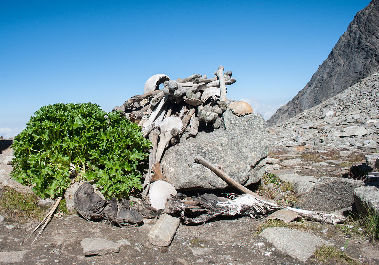 Human skeletons in Roopkund Lake. (Schwiki/Wikimedia Creative Commons)