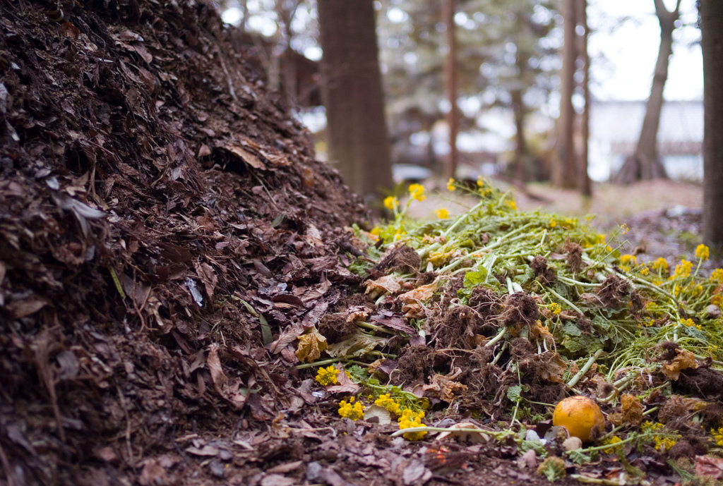 In addition to the composting workshop, Mansfield has several incentives for residents to produce less waste, such as lower trash pick-up costs for recycling more, according to the town’s website. (Flickr Creative Commons/Joi Ito)