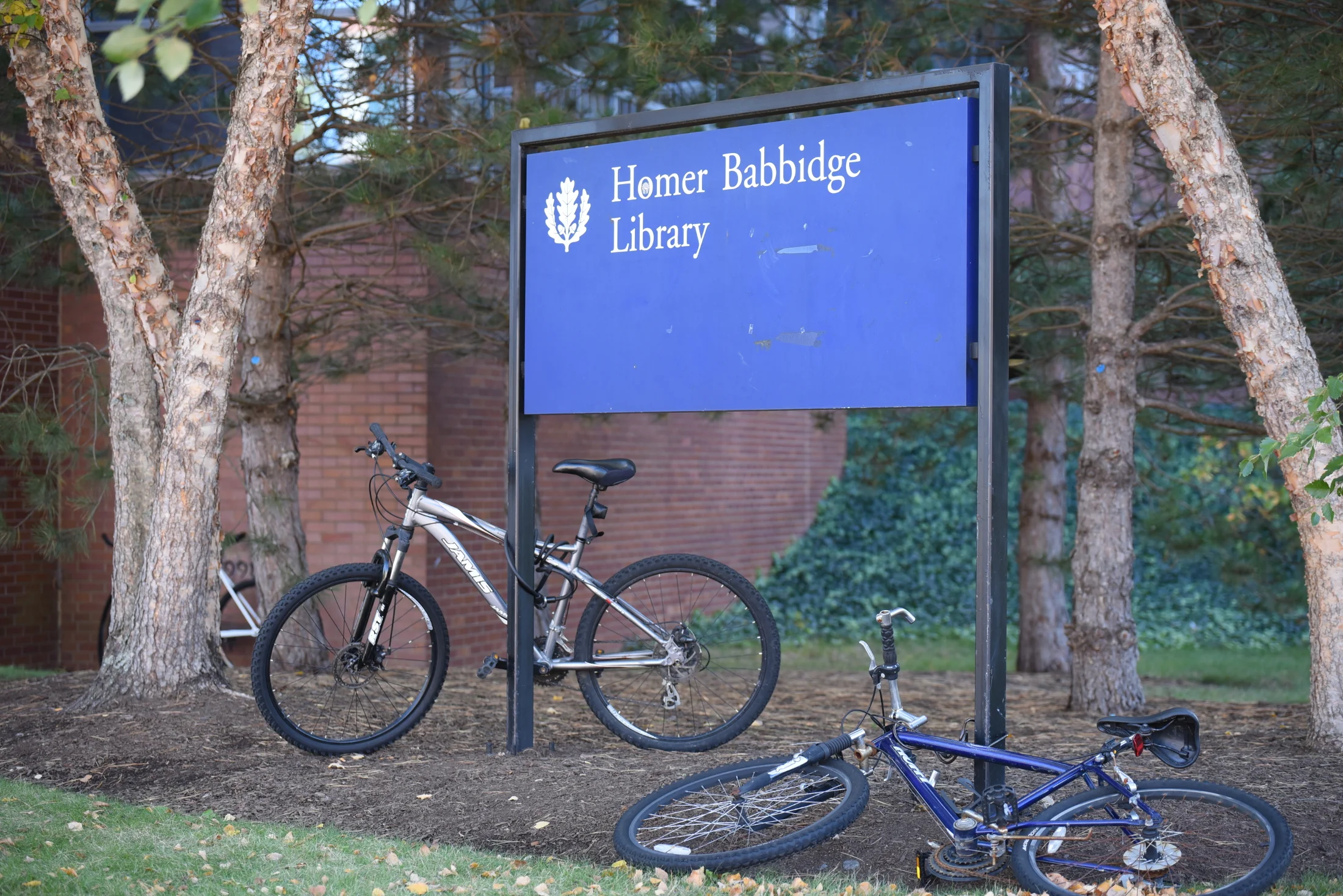 Commuter Corner: Finals are coming? | The Daily Campus