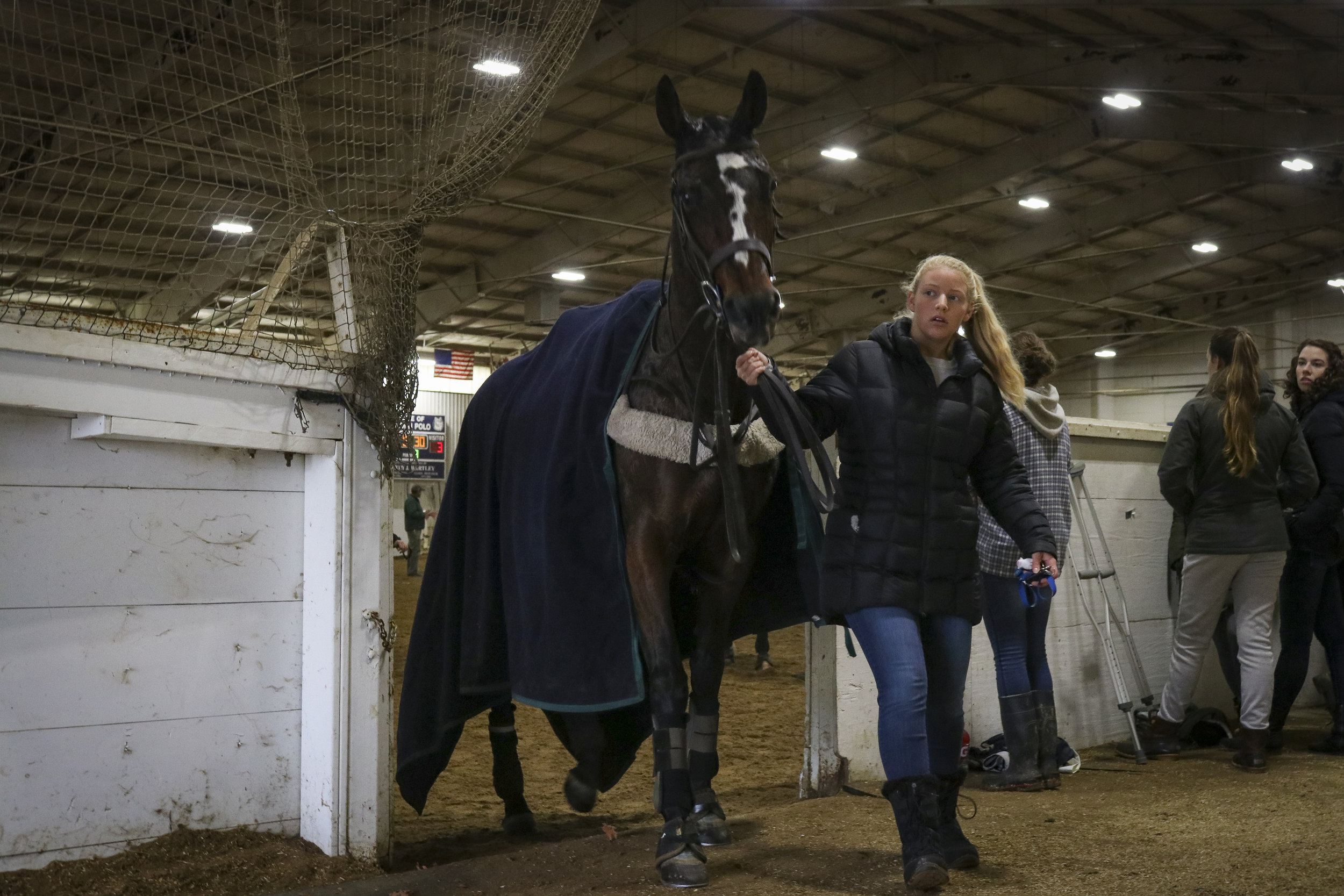 Between periods, horses that have played are taken outside and walked to cool down while other horses are warmed up to potentially take their places.