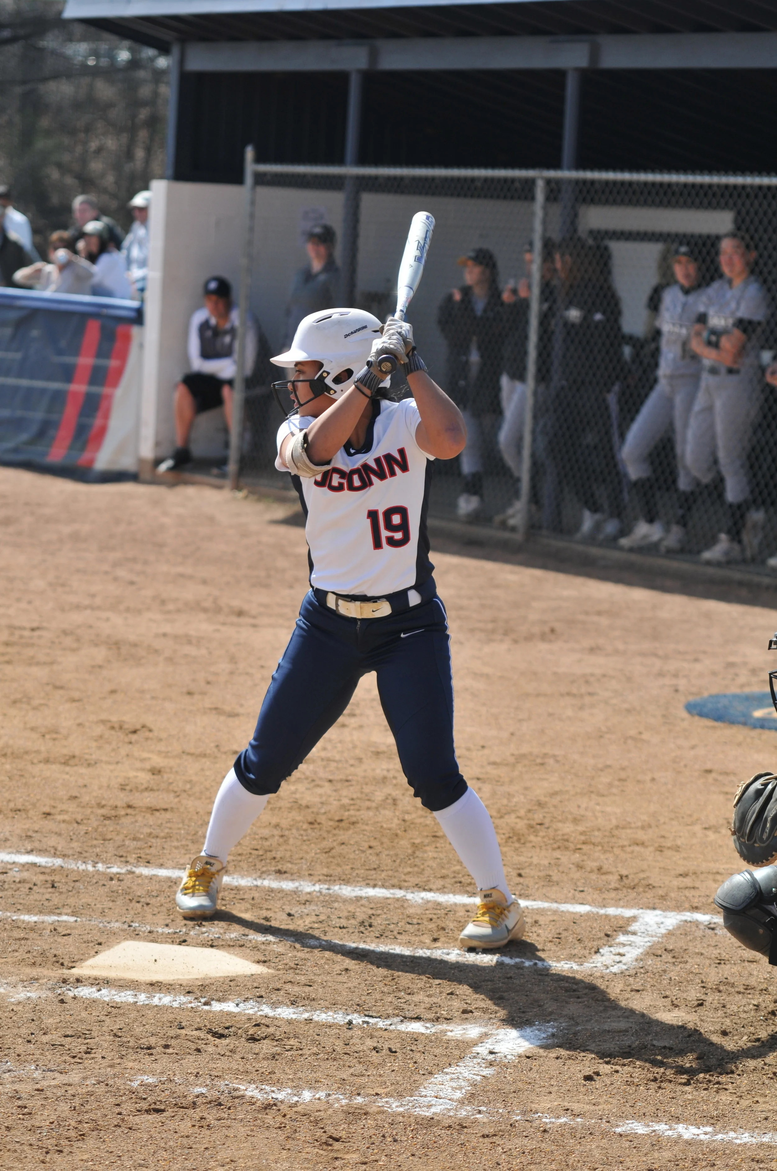 Softball USC Upstate Tournament — The Daily Campus