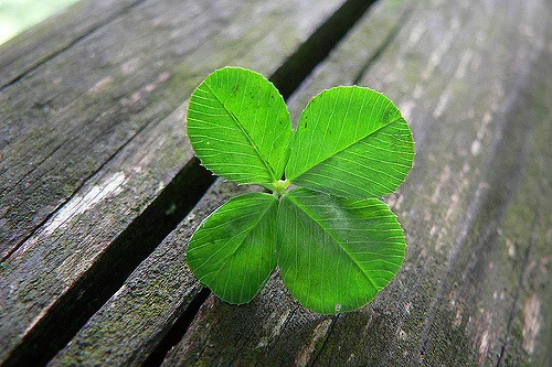 (Umberto Salvagnin/ Flickr Creative Commons)