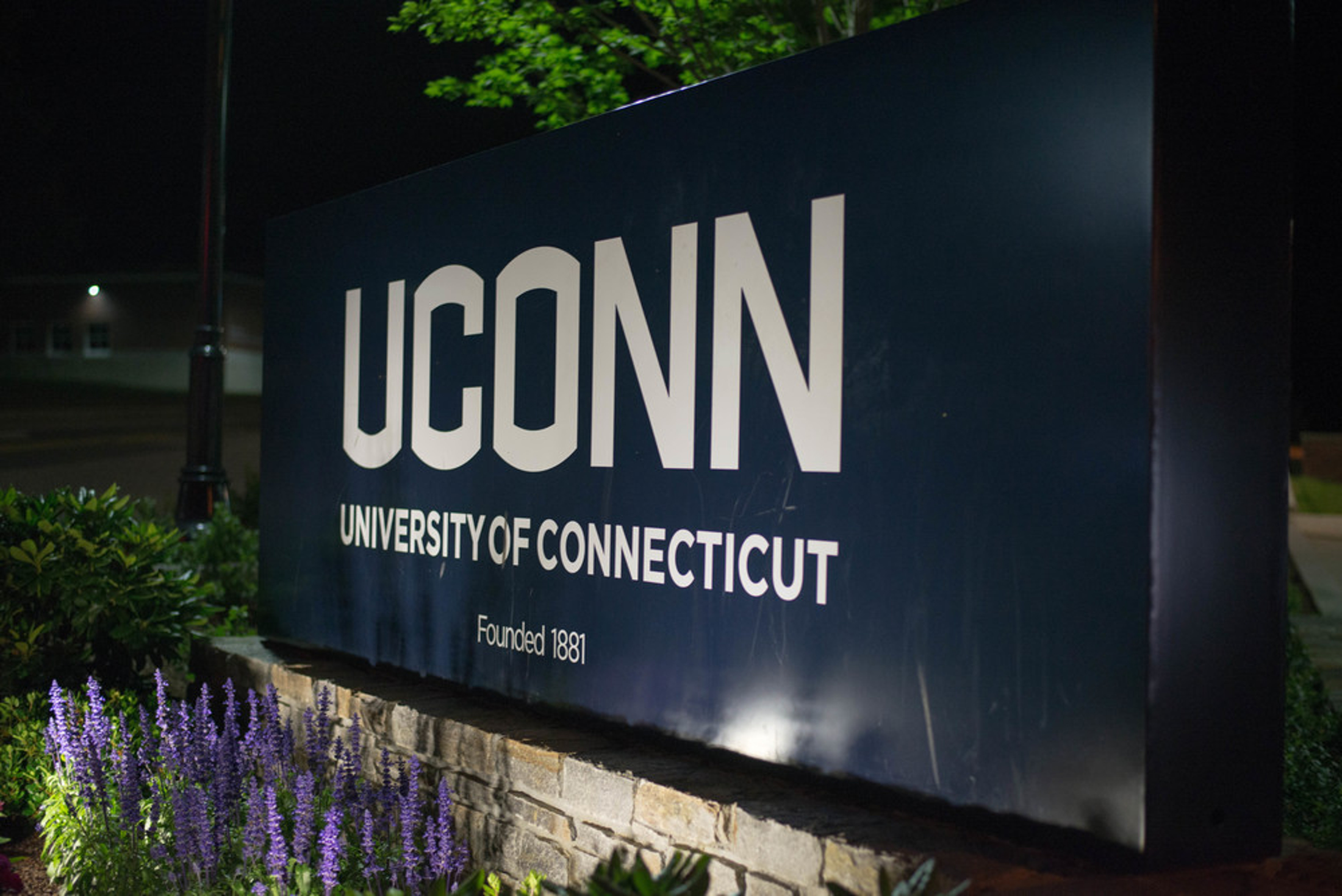 Former University of Connecticut computer science and engineering lecturer and coordinator of freshman computing education Jeffrey Meunier resigned in January amid an investigation by the Office of Institutional Equity (OIE) that revealed that Meunier was having an “amorous” relationship with an undergraduate student. (The Daily Campus/File photo)