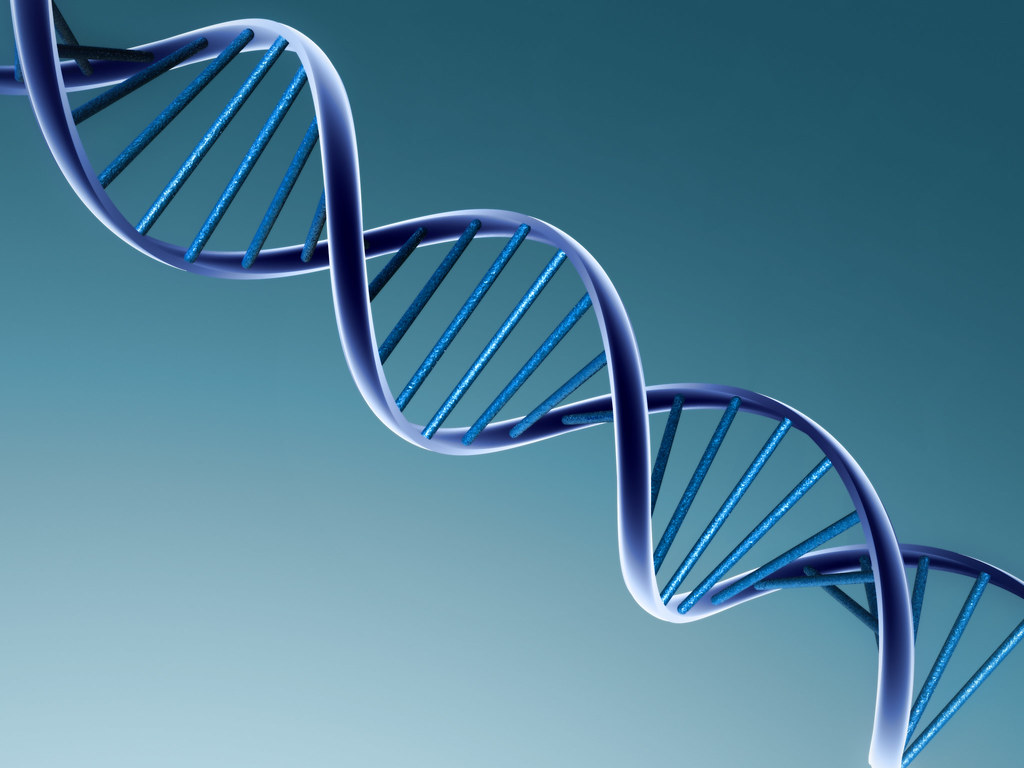 Since the discovery of its gene editing potential less than a decade ago, the CRISPR-Cas9 system has been a hot topic of debate. (RF/Flickr, Creative Commons)