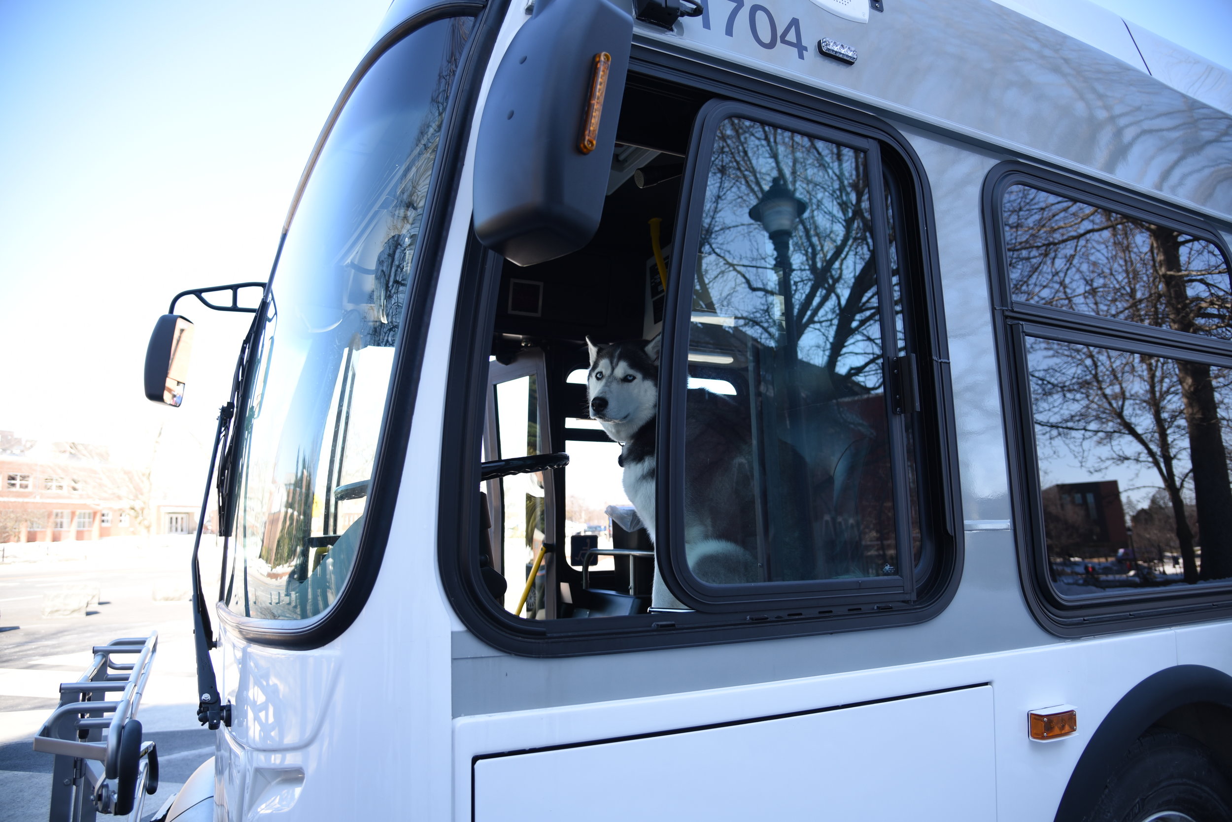Transportation Services at the University of Connecticut has finalized the bus routes that will service the campus from May 13 to August 23. (Charlotte Lao/The Daily Campus)