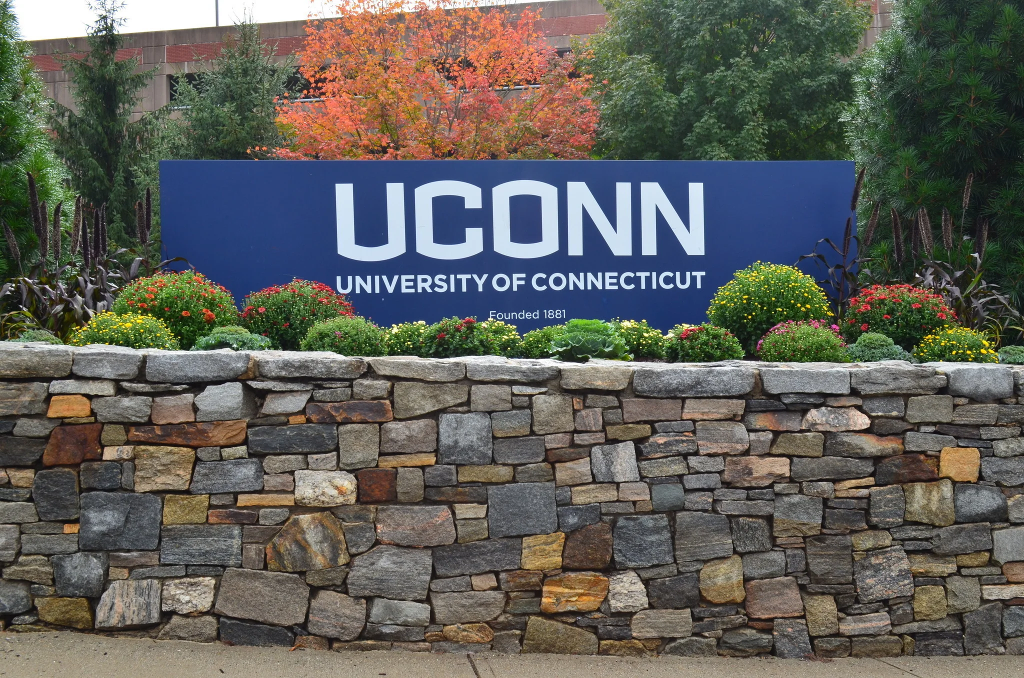 File Photo/The Daily Campus.