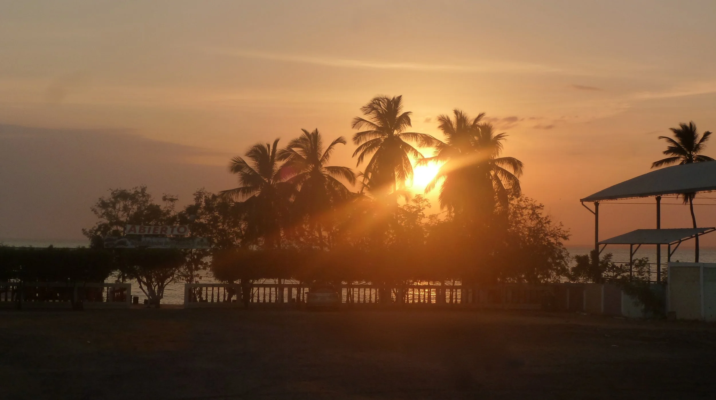 Pollution of Lake Maracaibo is just one example of the government’s inability to protect the environment. Photo by Erik Cleves Kristensen from Flickr Creative Commons