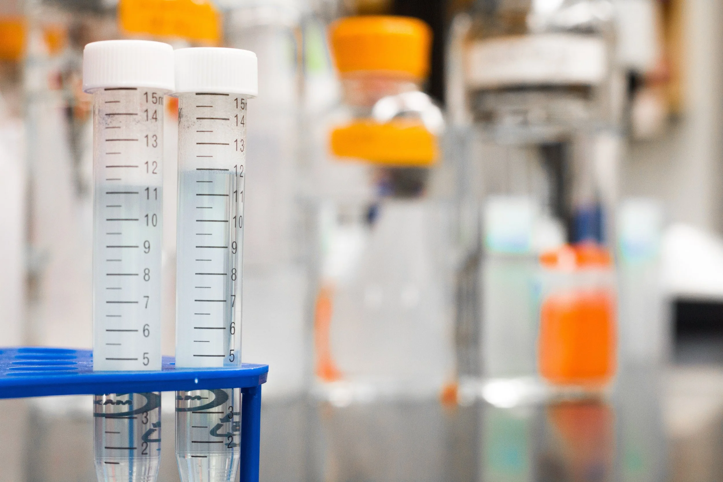 Free HIV/HepC testing provided by Perception Programs, Inc. for UConn students. Photo by Martin Lopez from Pexels