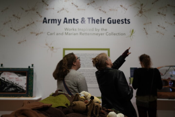 Students and members of the public attend the grand opening of two new exhibitions at The Ballard Museum of Puppetry on Thursday, Oct. 17. The exhibit "Immaterial Remains" showcased Chinese shadow puppetry, and the exhibit "Army Ants and Their Guests" showcased collaborative puppet work between UConn's Ecology and Evolutionary Biology and Puppetry Departments. Photo by Maggie Chafouleas / The Daily Campus