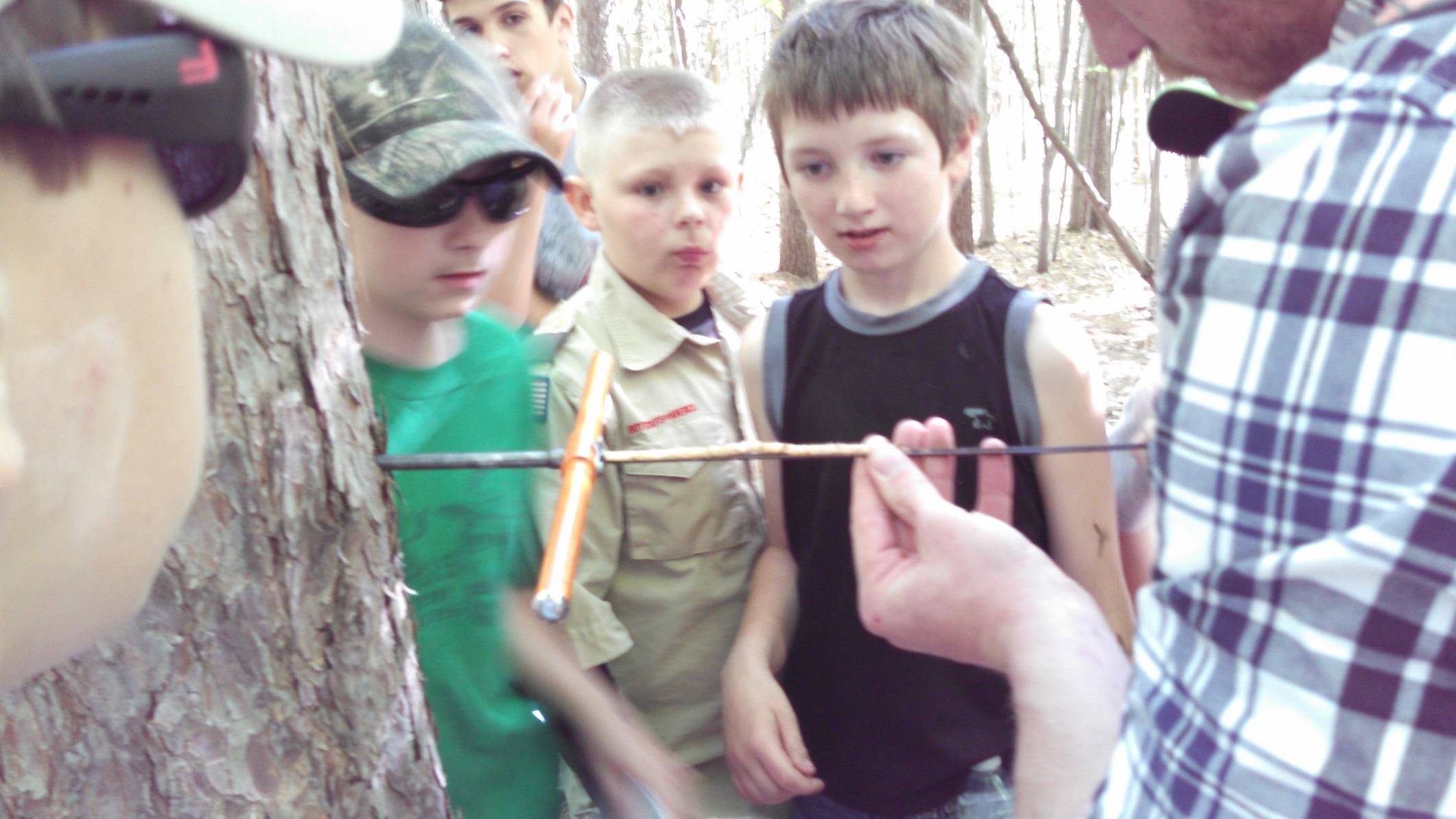 Boy Scouts look on as a tree core is removed from a Red Pine