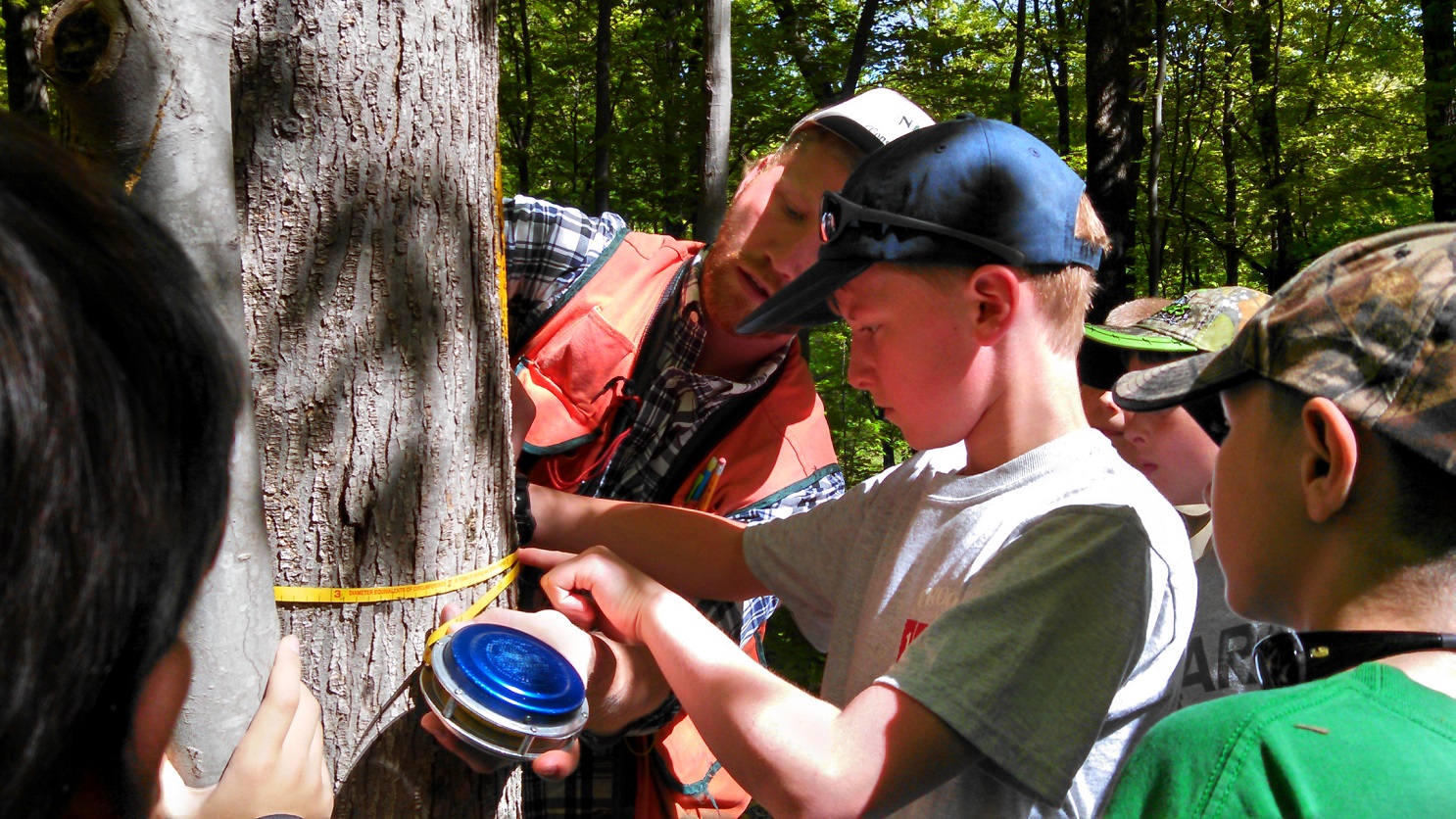  District Forester AJ Smith shows Boy Scouts how to take a diameter of a tree