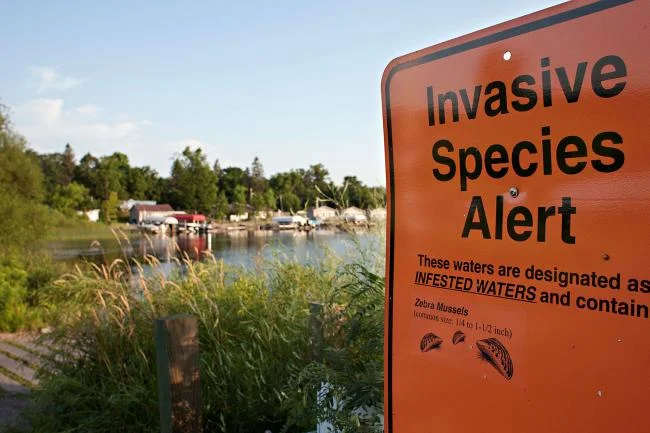 Invasive Species Workshop