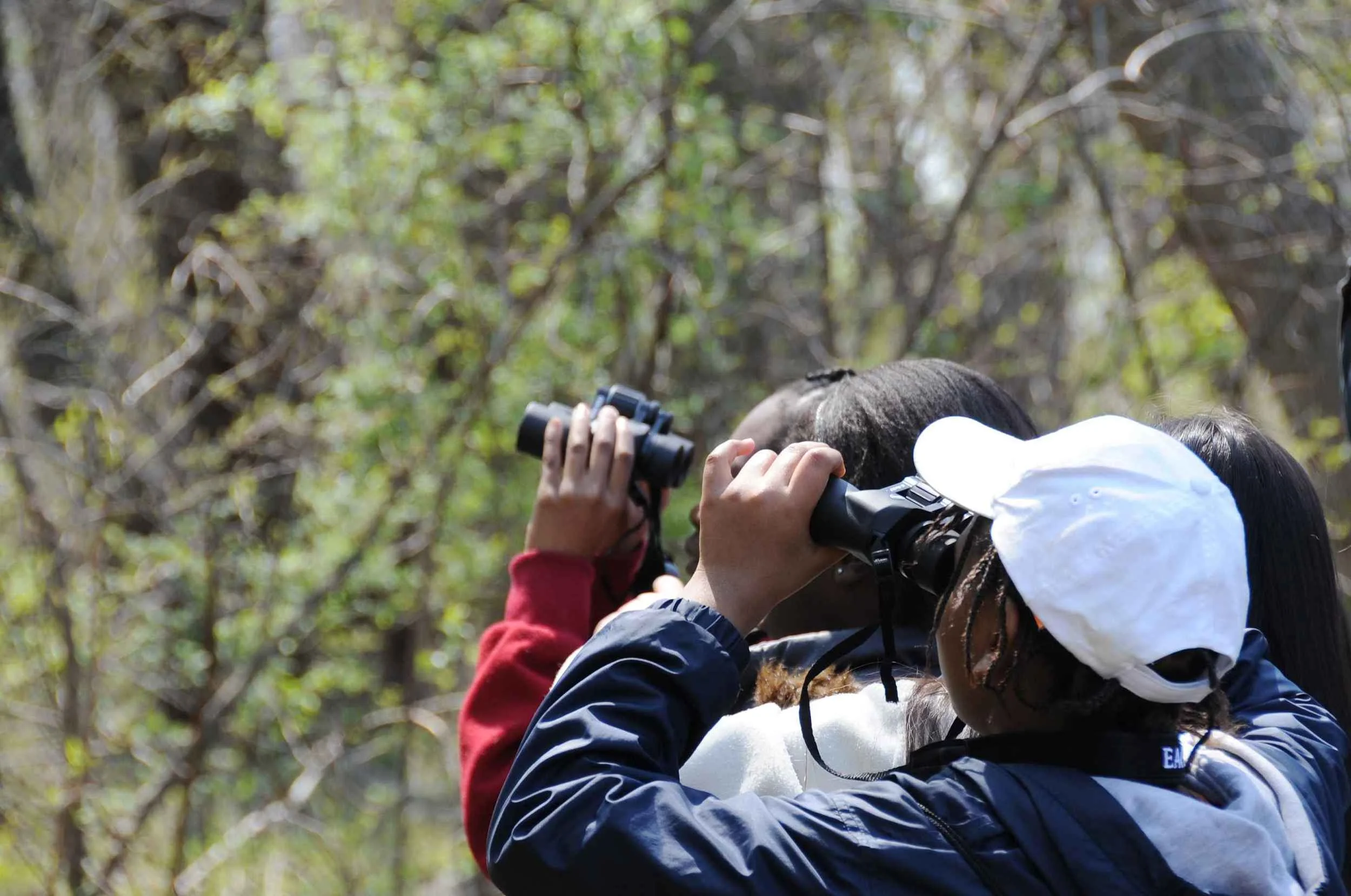 An Introduction to Birding - session 2