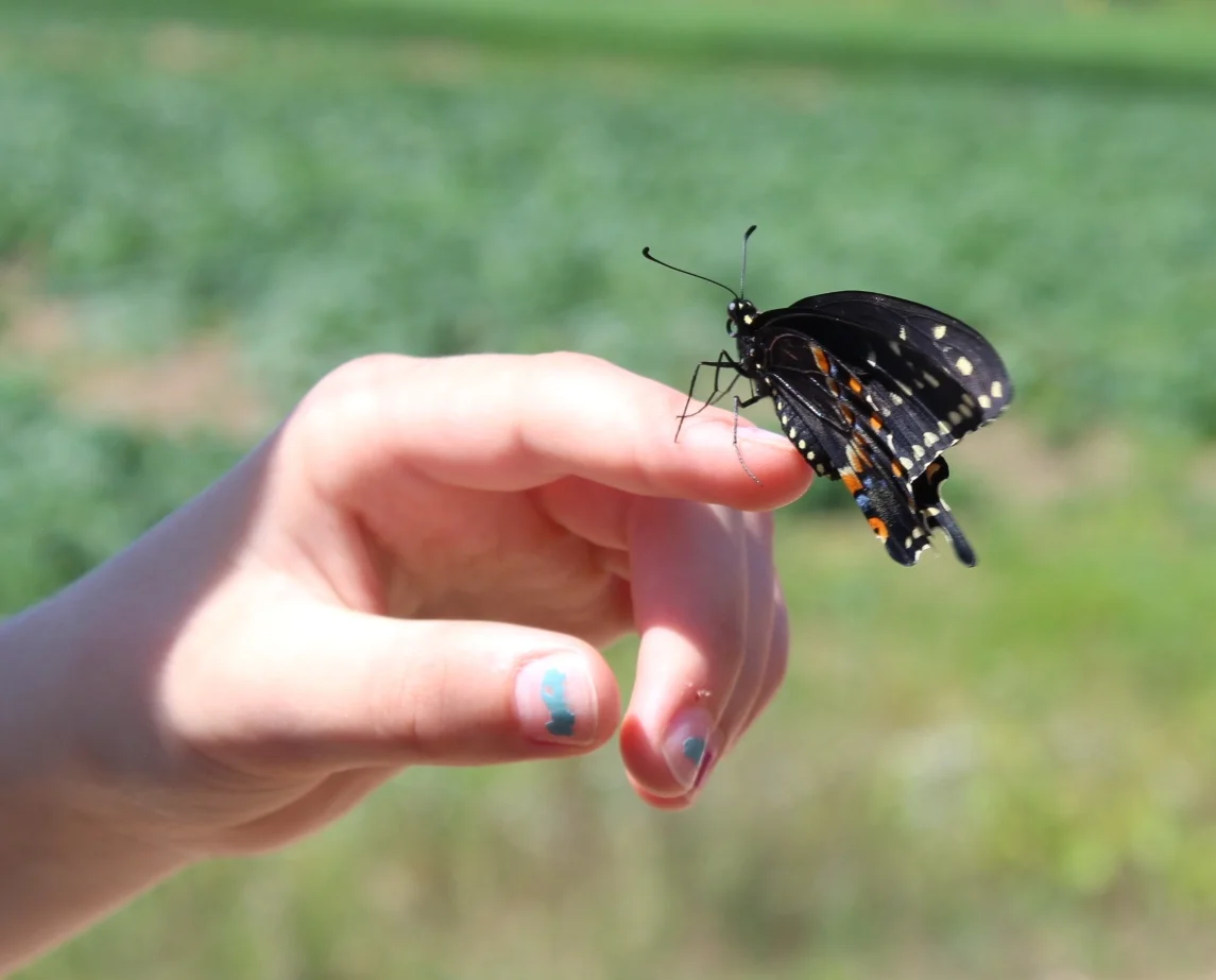 Nature Ranger Day Camp