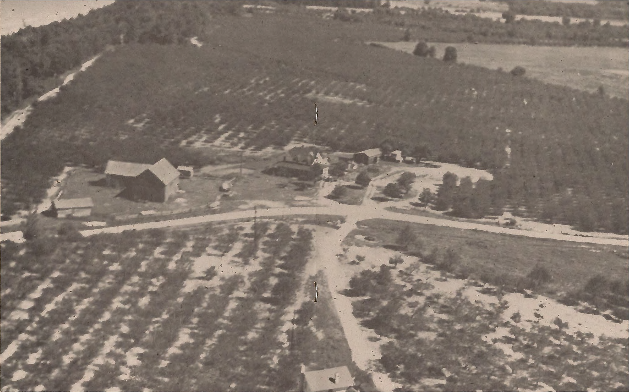 Juniper Beach cherry orchard, note Lake Michigan in upper left.