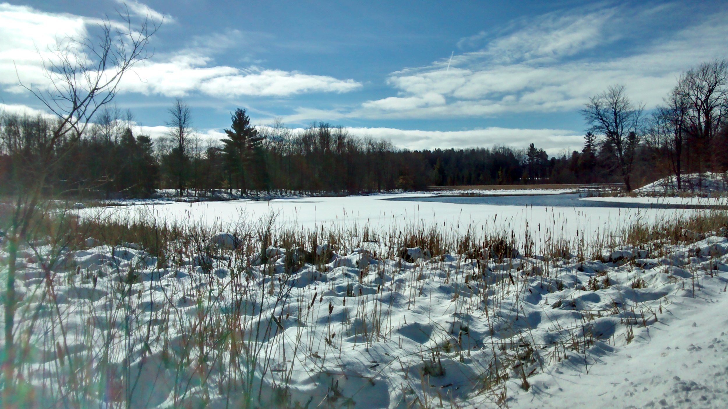 February at Gales Pond
