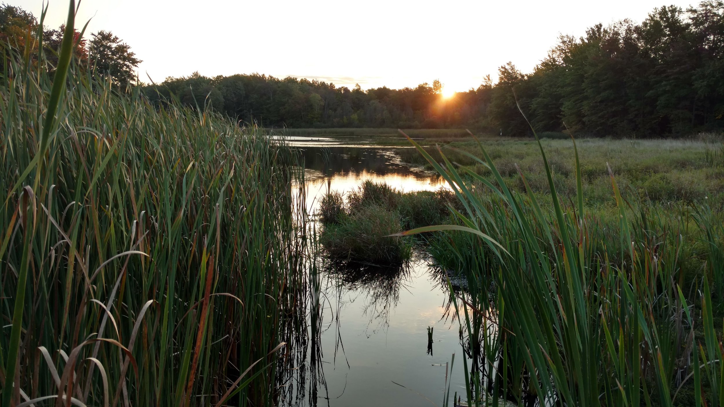 September at Gales Pond