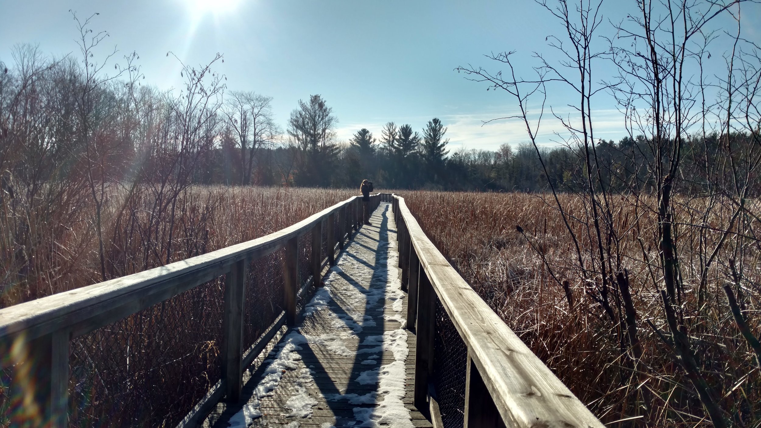 Christmas Bird Count 2018