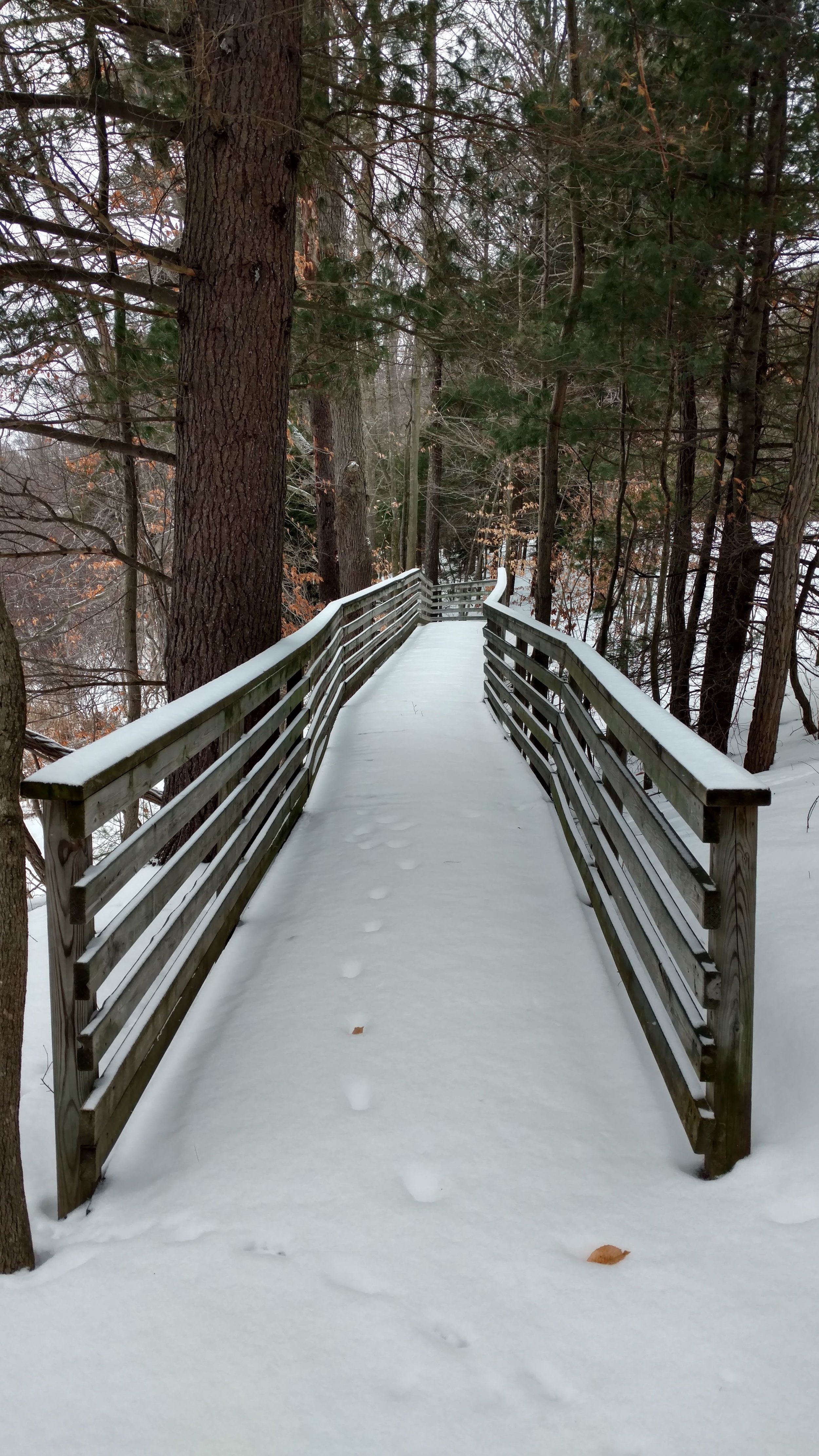 The start of the boardwalk