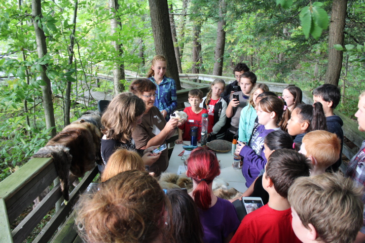 Environmental Education Events at Gales Pond