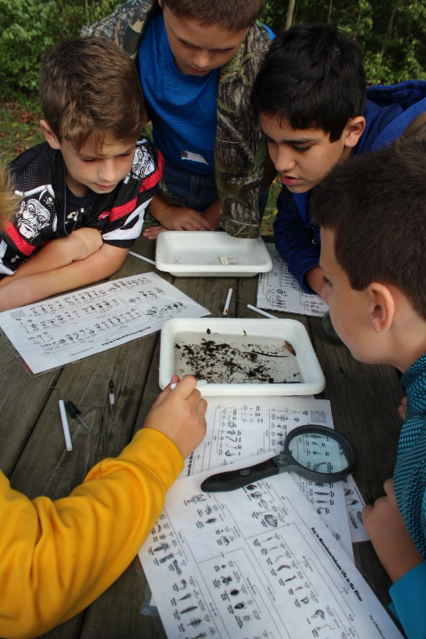 Environmental Education Events at Gales Pond