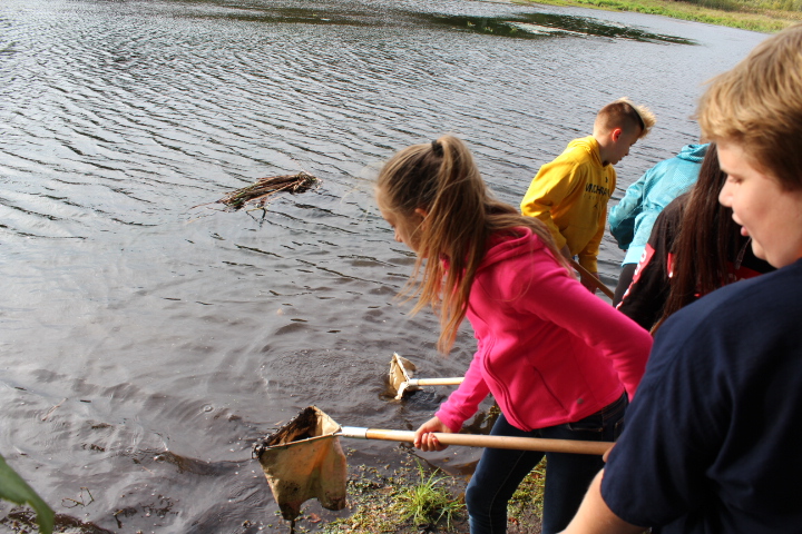 Environmental Education Events at Gales Pond