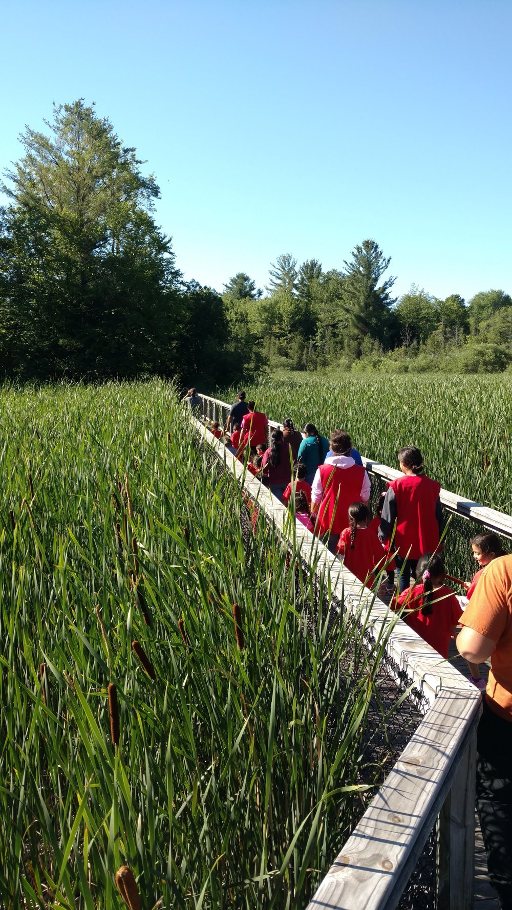 Environmental Education Events at Gales Pond