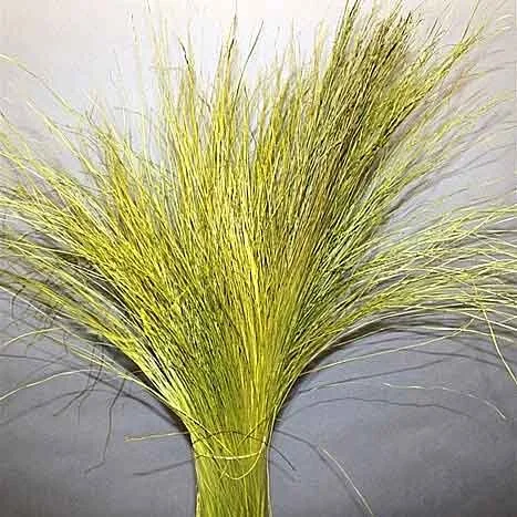 Dune grass bunch.jpg