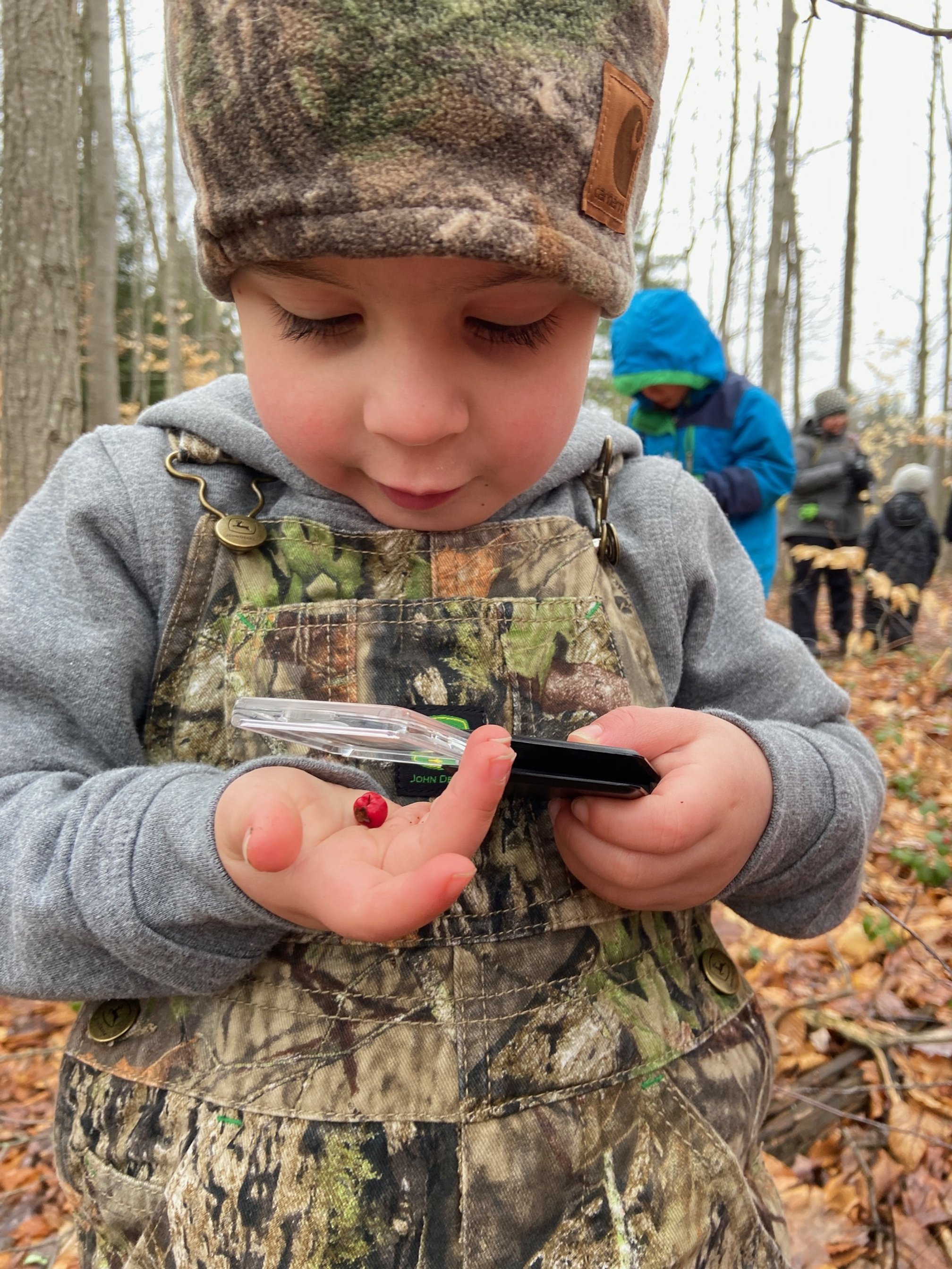 Fridays in the Forest Family Hike