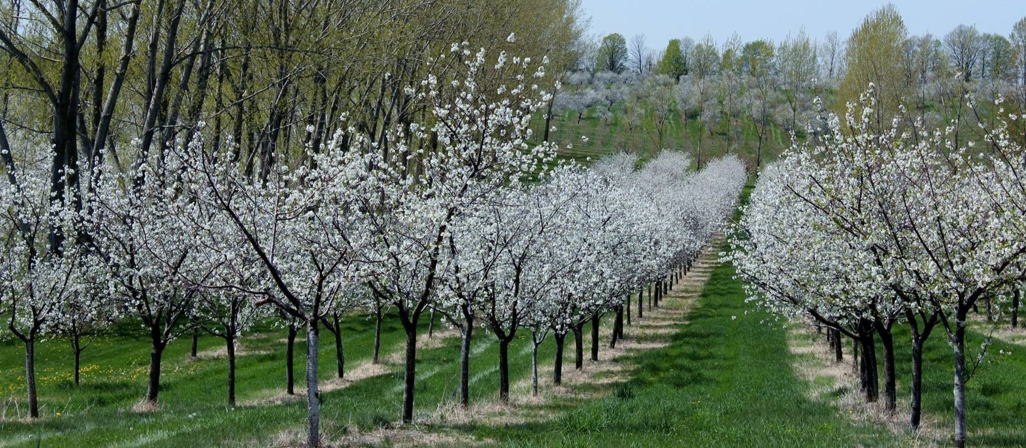 Grower Education Meeting