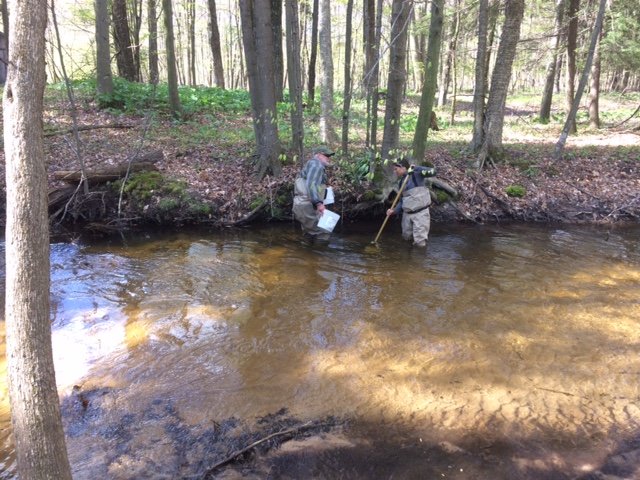 Stream Monitoring_Cobmoosa Creek (1).JPG
