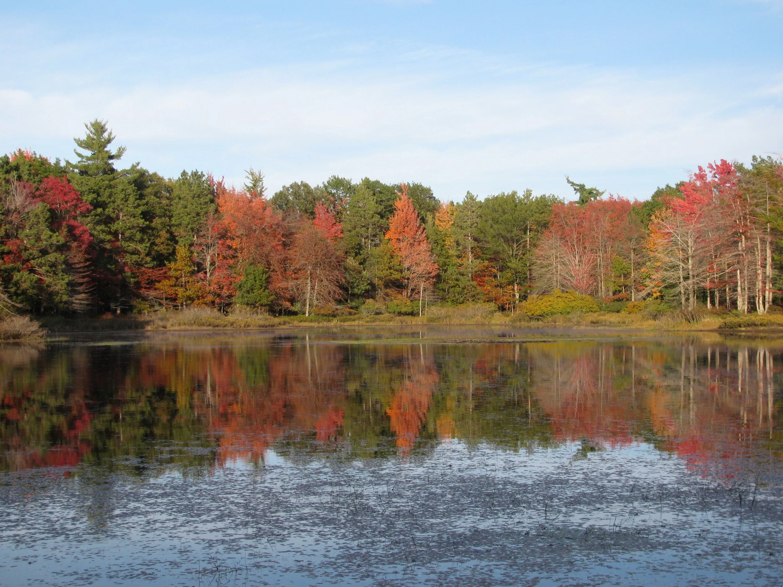 Volunteer Appreciation &amp; Conservation Celebration