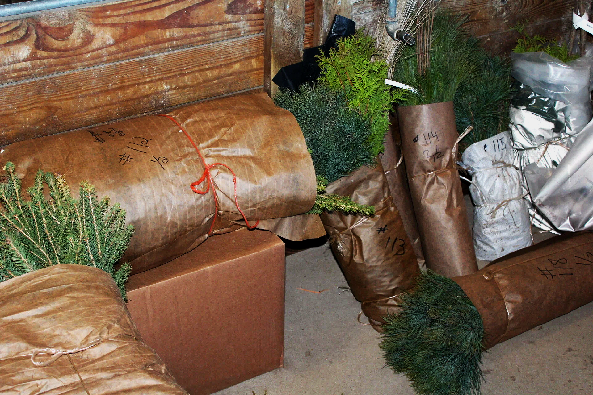 Tree Sale Orders Due