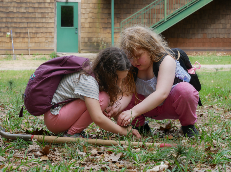 Dig In: The Tree Lab Community Planting