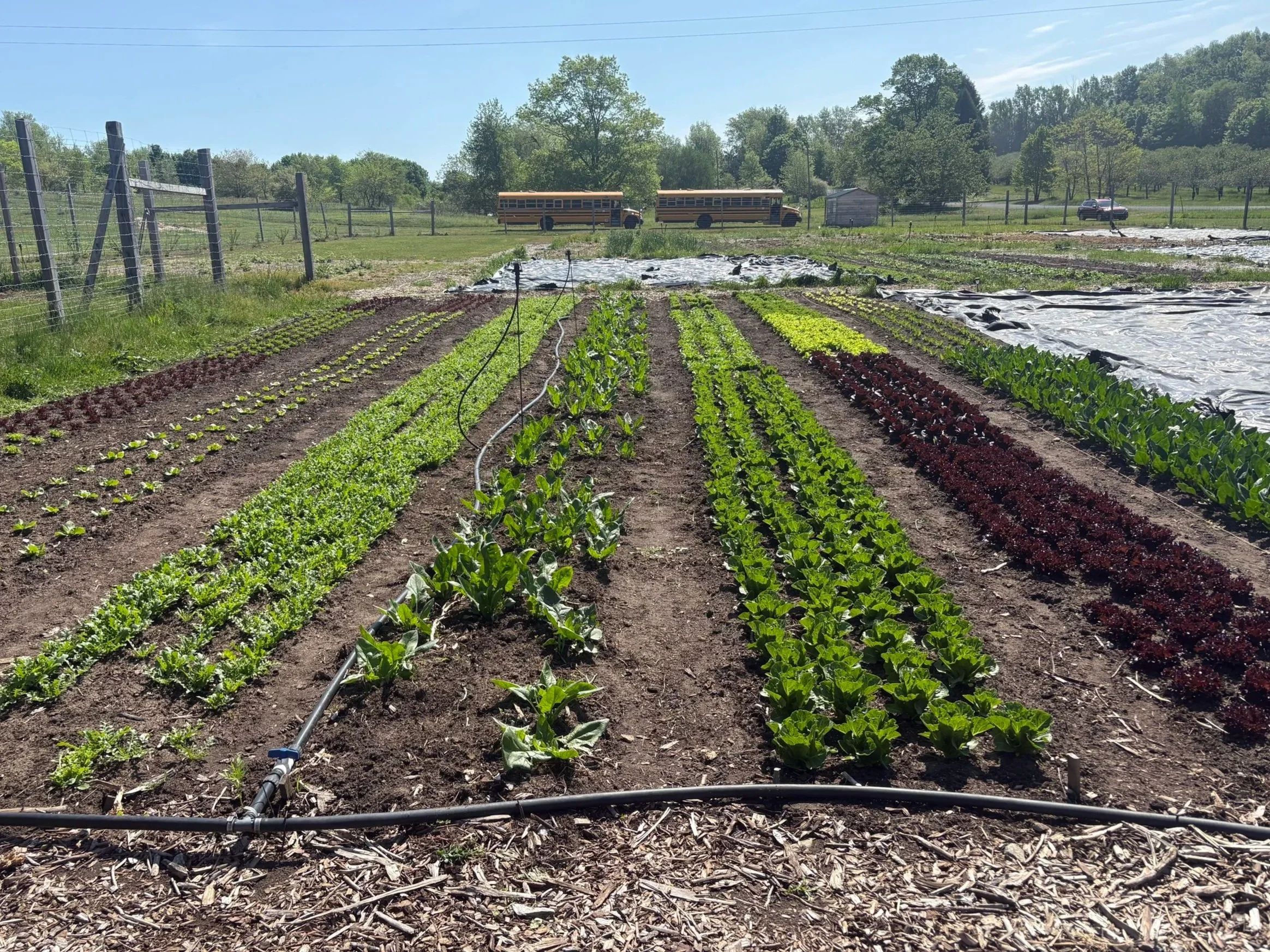 Regenerative Agriculture &amp; Agroforestry Small Farm Workshop