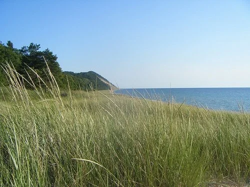Understanding our Dune Ecosystems
