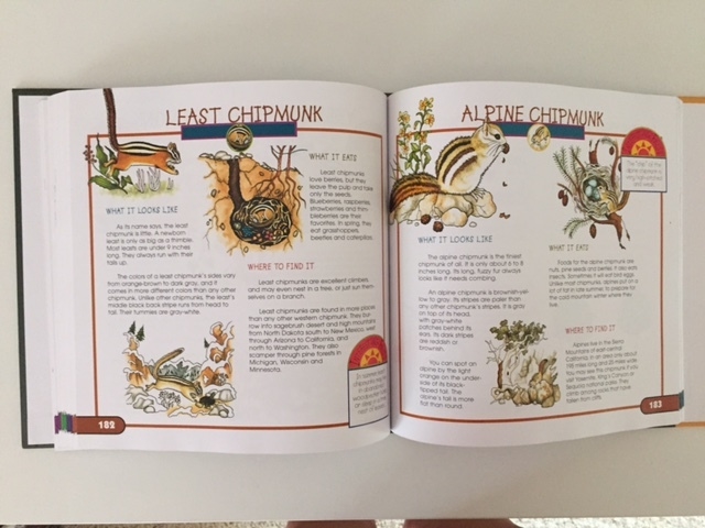 a peek inside Fun with Nature Take-Along guide