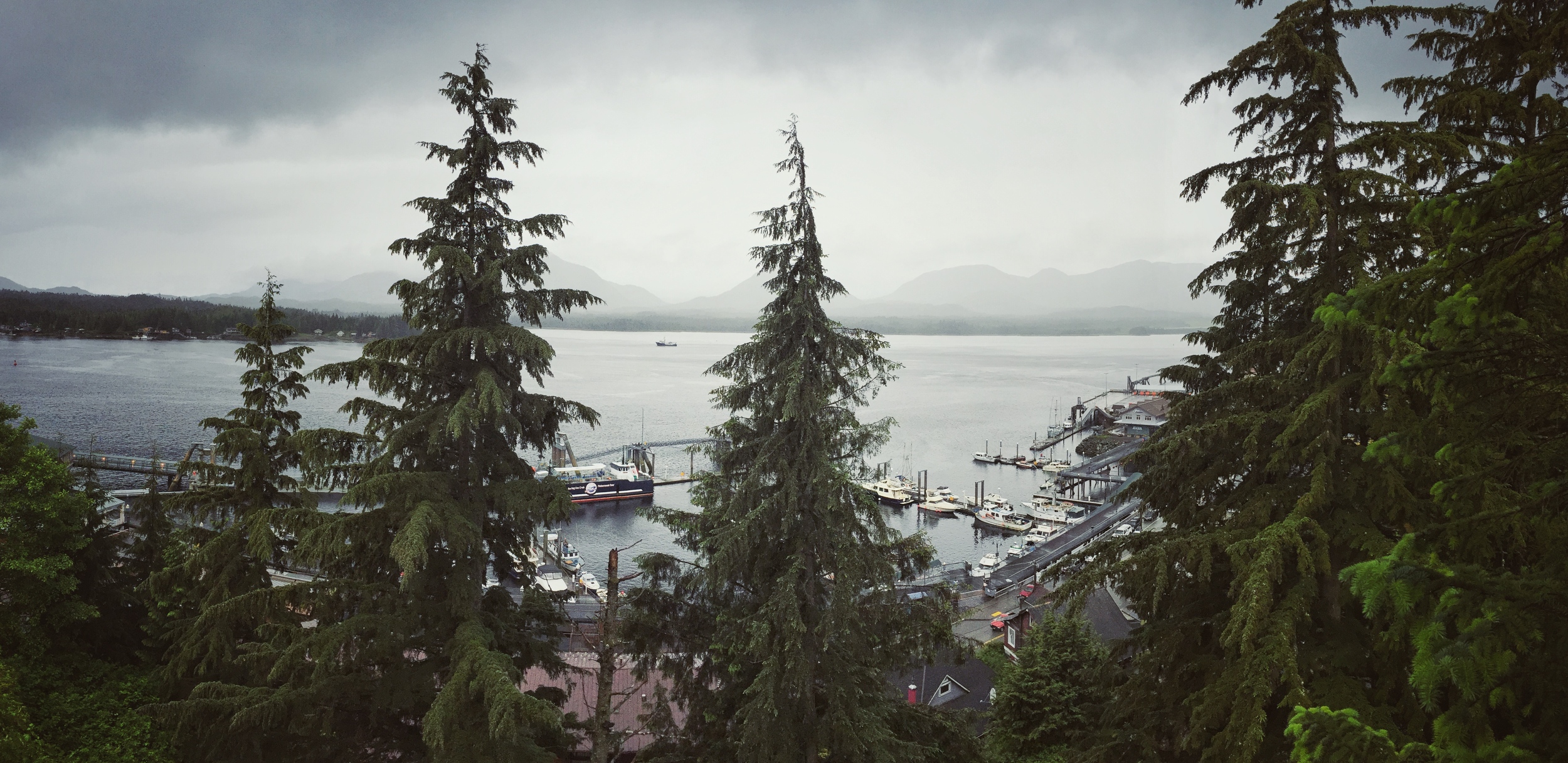 Random view I found while hiking around town