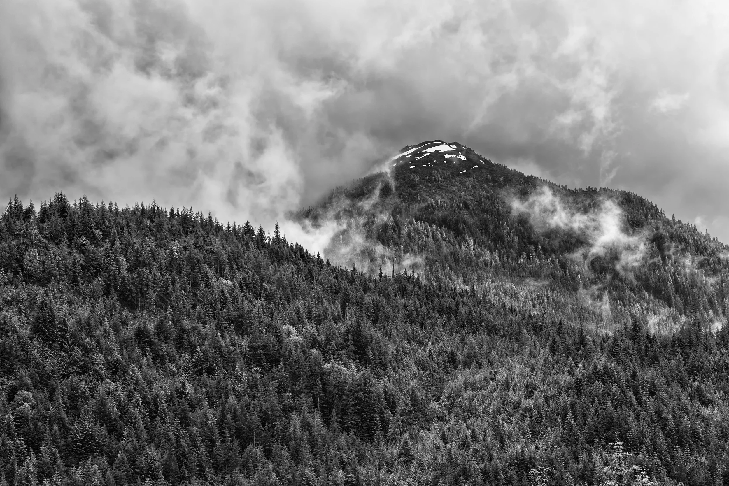 This shot looked good in color, but it was still falling flat. It wasn't evoking the same response as I felt while seeing it thru my viewfinder. But when I converted it to black and white, all of a sudden it popped and I got an amazing image. Shot with Canon 5d Mark II