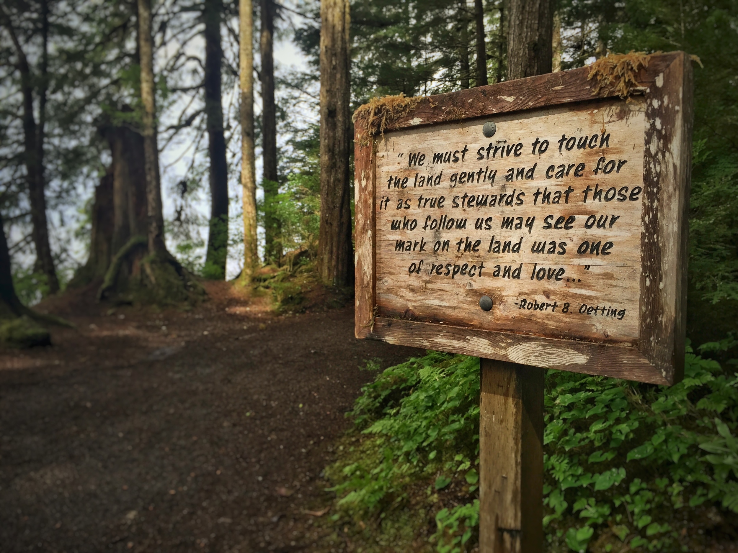 At the start of the trailhead in Settler's Cove