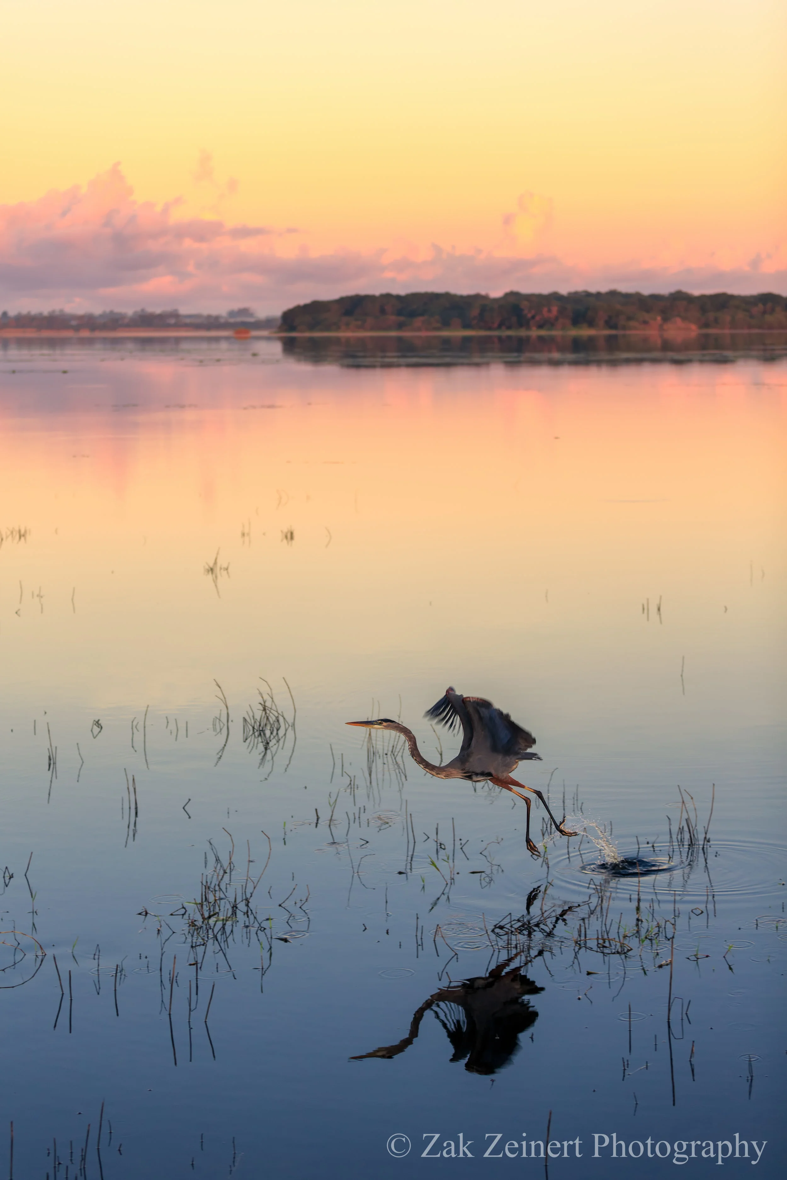 Myakka River Valley State Park