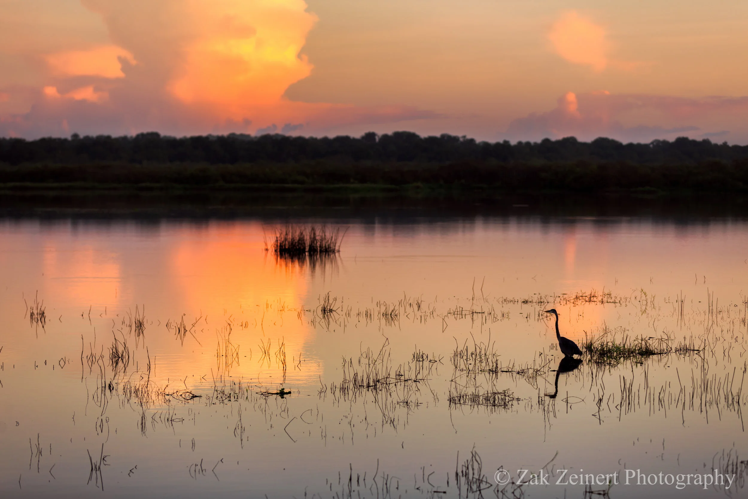 Myakka River Valley State Park