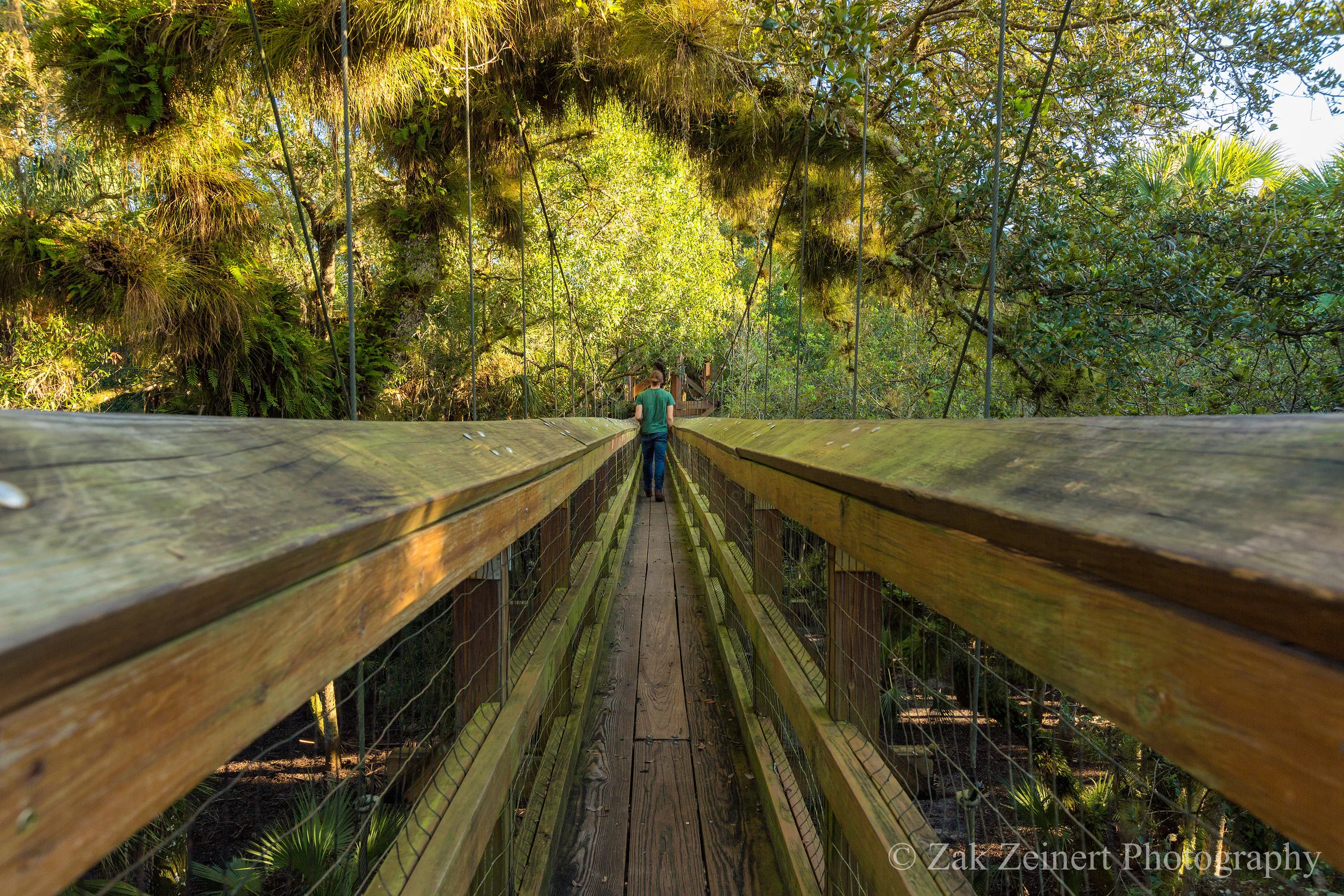 Myakka River Valley State Park