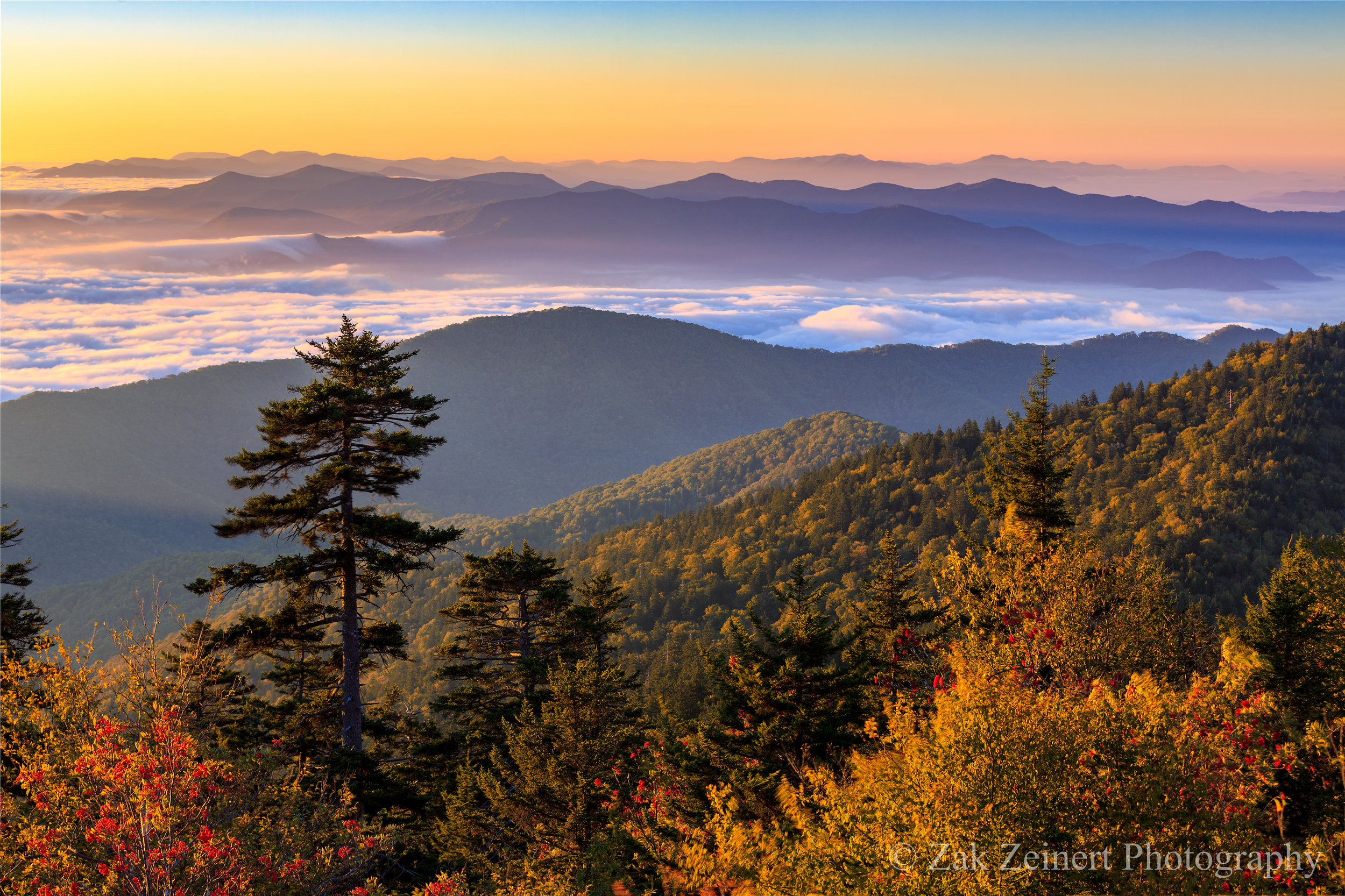Purple mountain majesty. Sunrise from Clingman's Dome