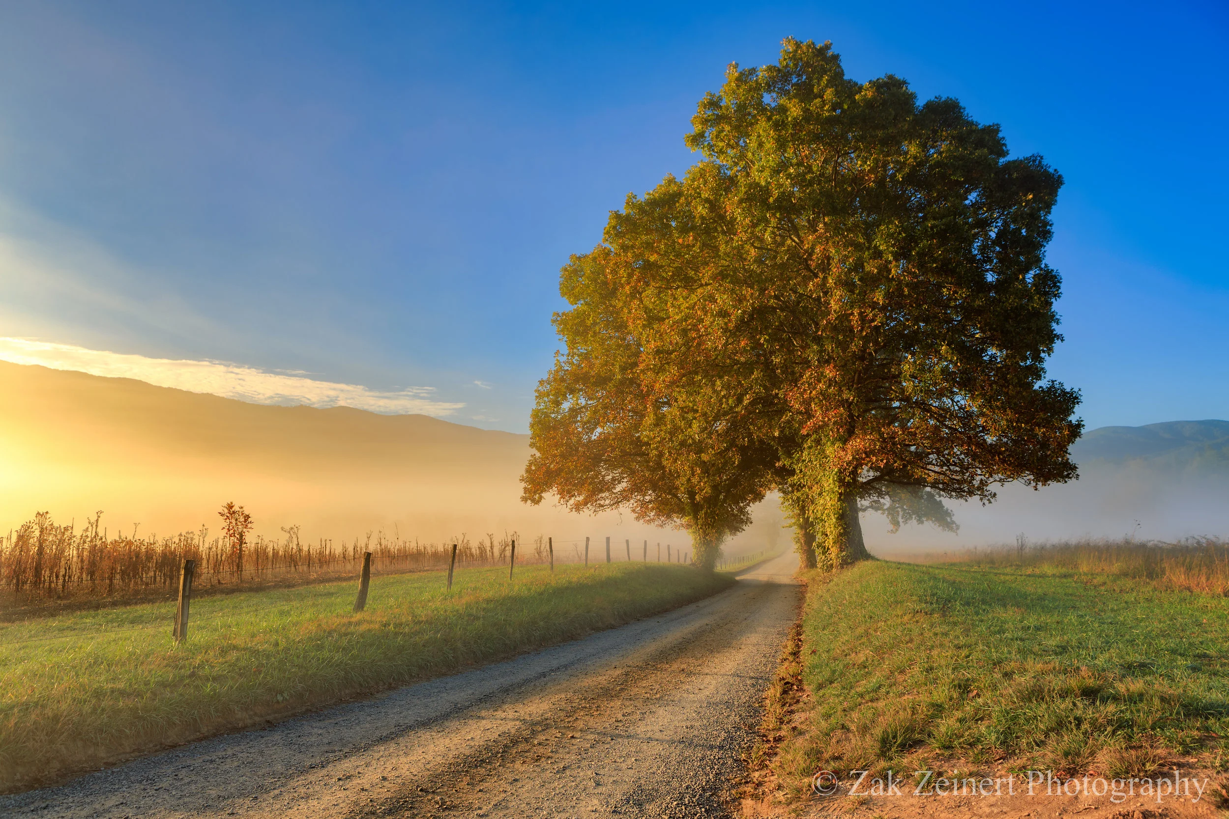 Hyatt Lane on the Cade's Cove Loop