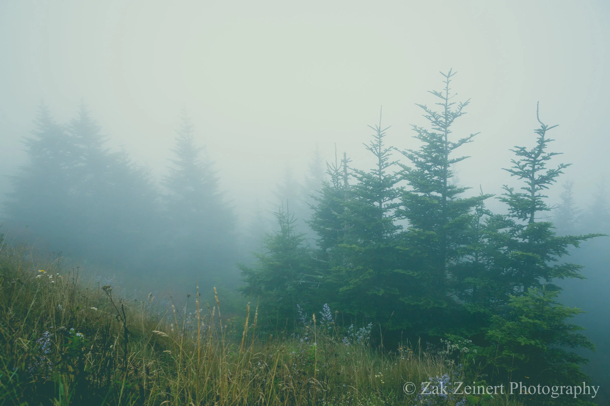 View from Clingman's Dome with the intense fog