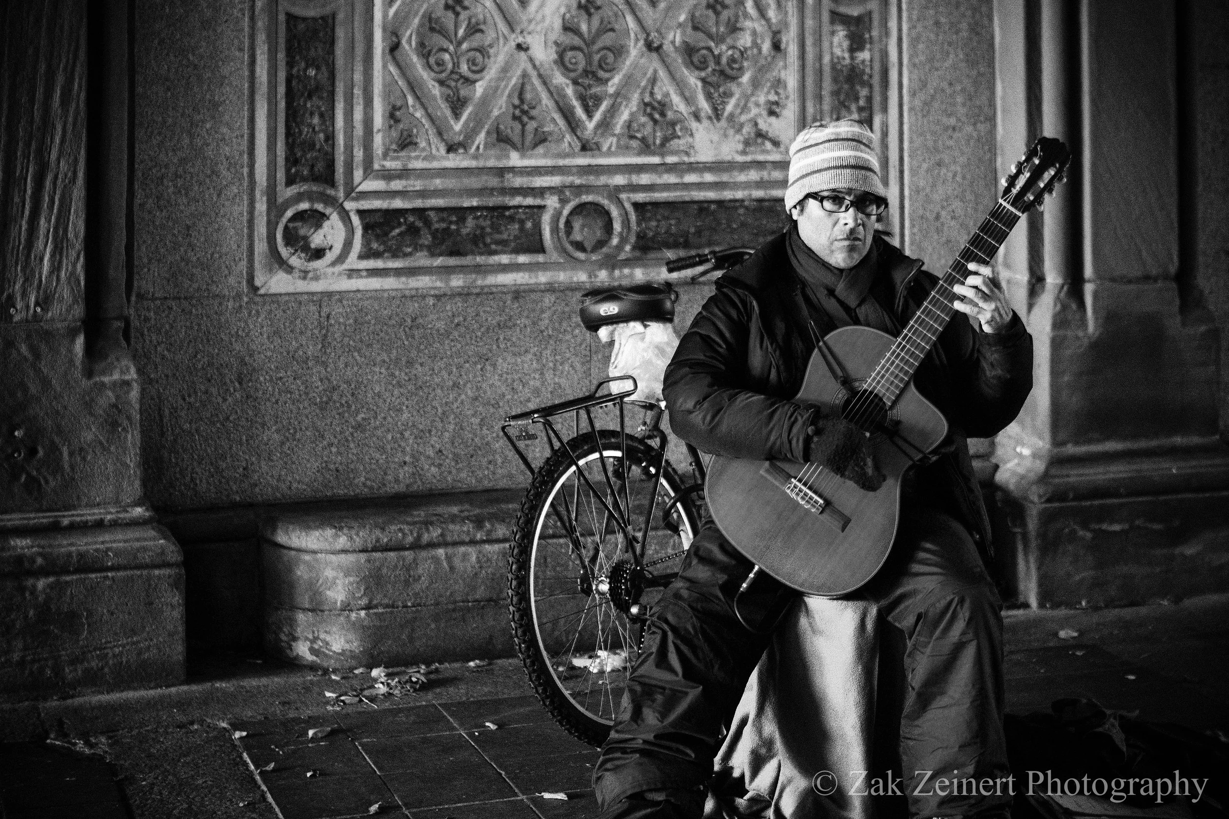 Guitar player in Central Park