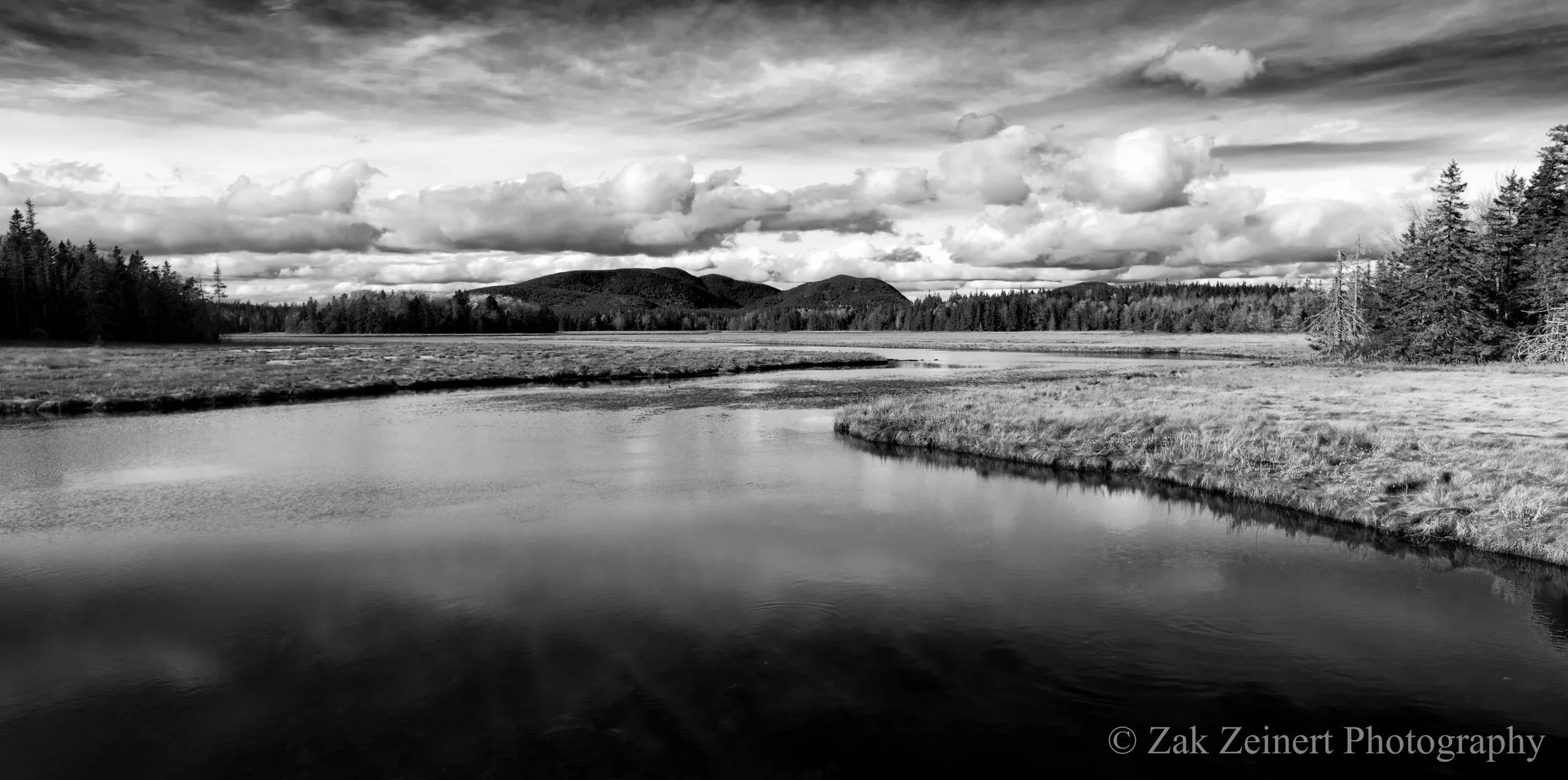 A beautiful pond I saw on the way to Bass Harbor. It looked good in color, but even better in Black and White